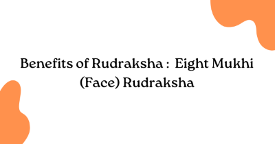 Benefits of Rudraksha :  Eight Mukhi (Face) Rudraksha